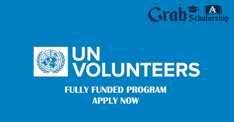 UN Volunteers Program 2020