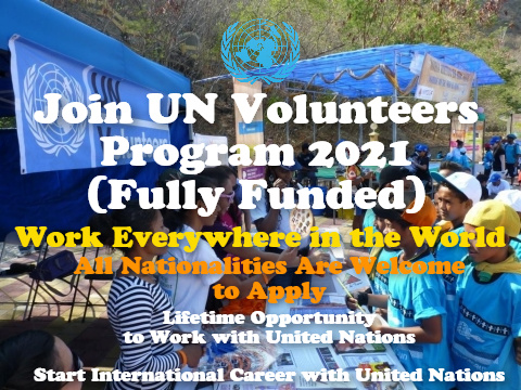 UN Volunteers Program 2021