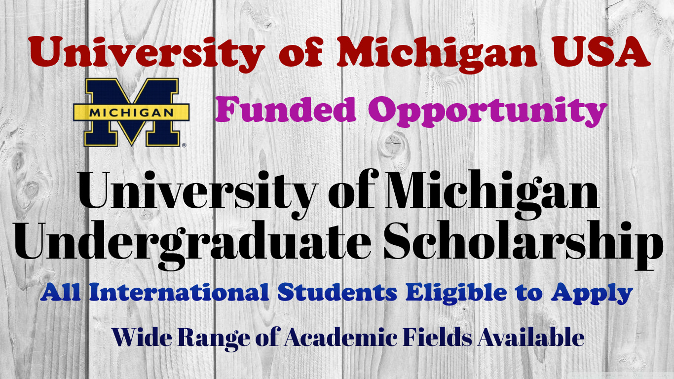 University of Michigan Undergraduate Scholarship