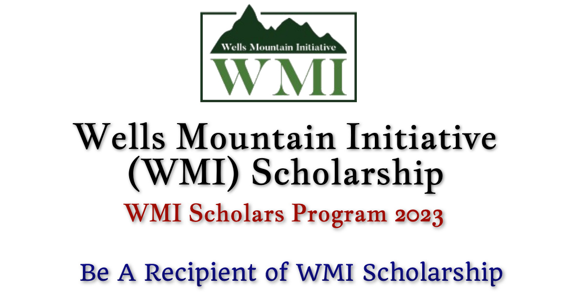 Wells Mountain Initiative (WMI) Scholarship