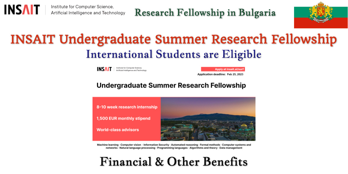 INSAIT Undergraduate Summer Research Fellowship