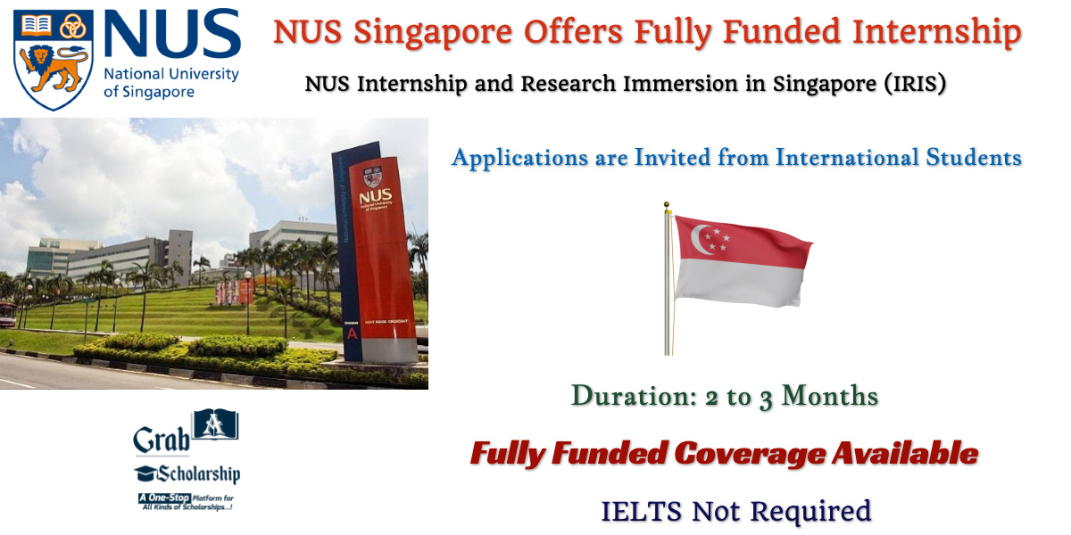 NUS Internship and Research Immersion in Singapore (IRIS)